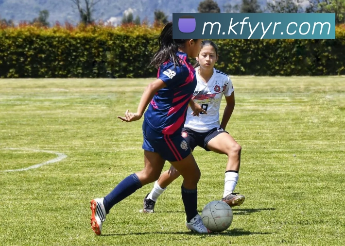 凯发天生赢家一触即发平台生态图